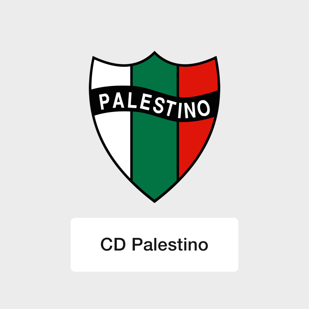 CD Palestino