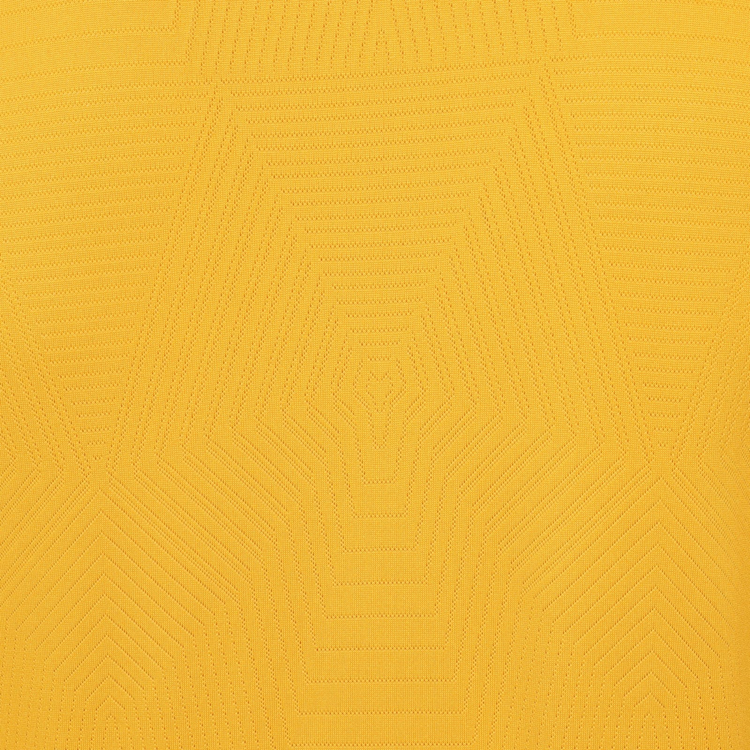 2024-25 Wolverhampton Wanderers FC 1a Equipación