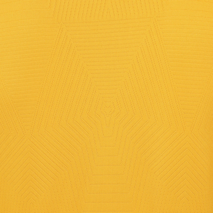 2024-25 Wolverhampton Wanderers FC 1a Equipación