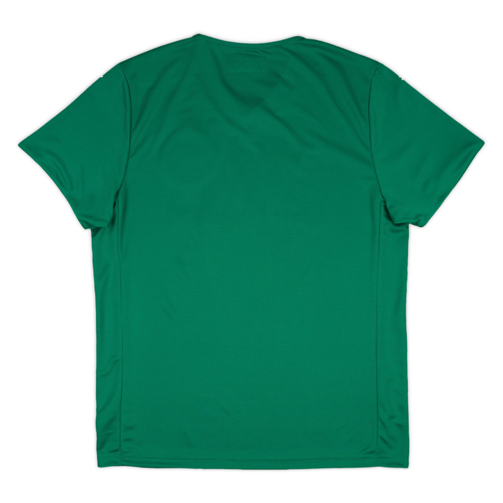 2025-26 SE Palmeiras 1a Equipación