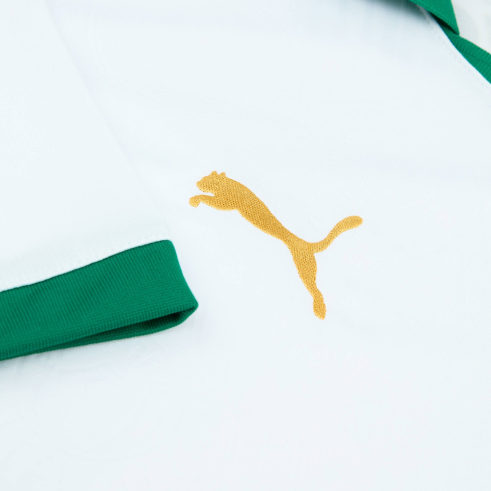 2024-25 SE Palmeiras 2a Equipación