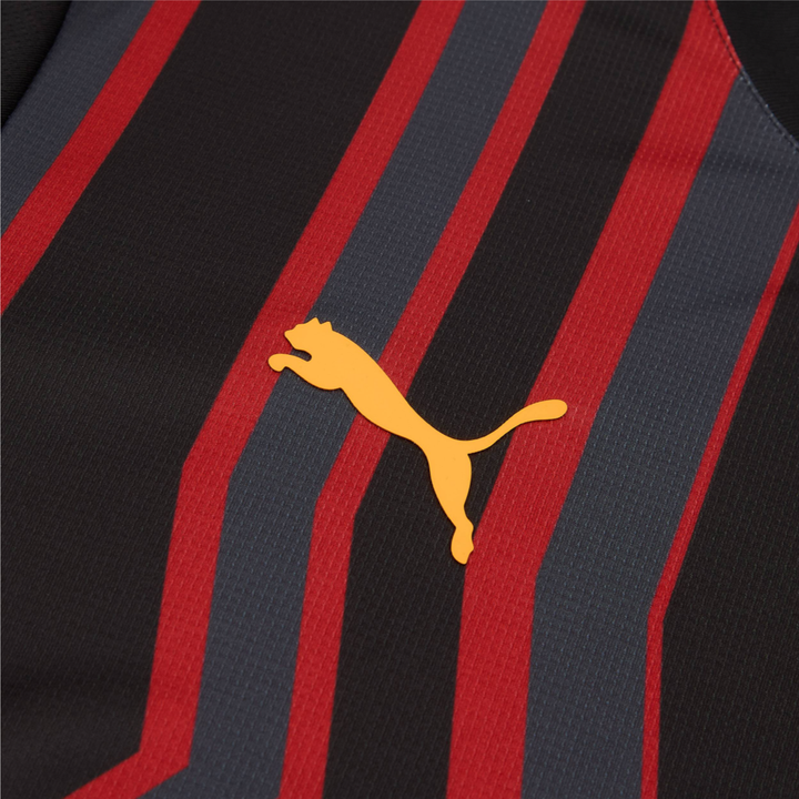 2024-25 Galatasaray SK 3a Equipación