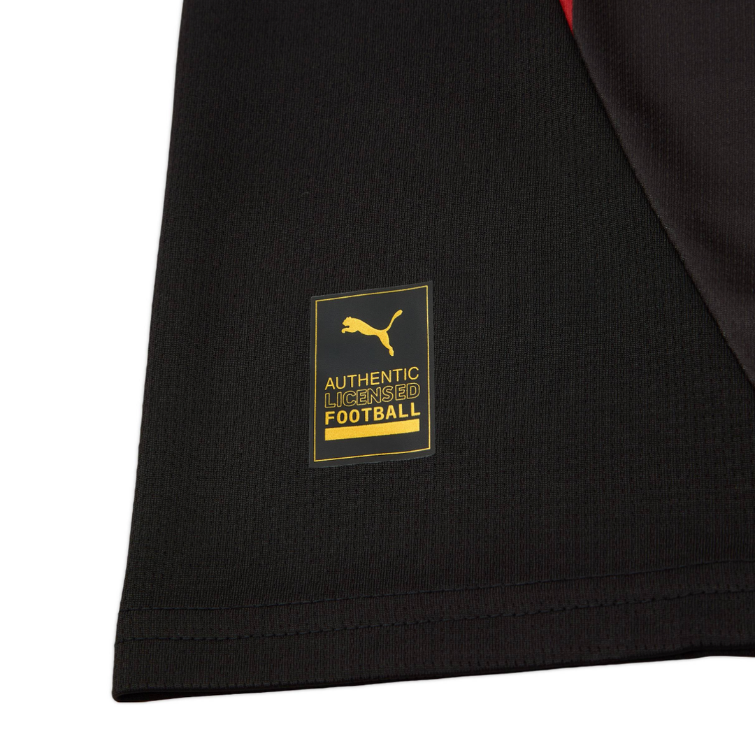 2024-25 Galatasaray SK 3a Equipación