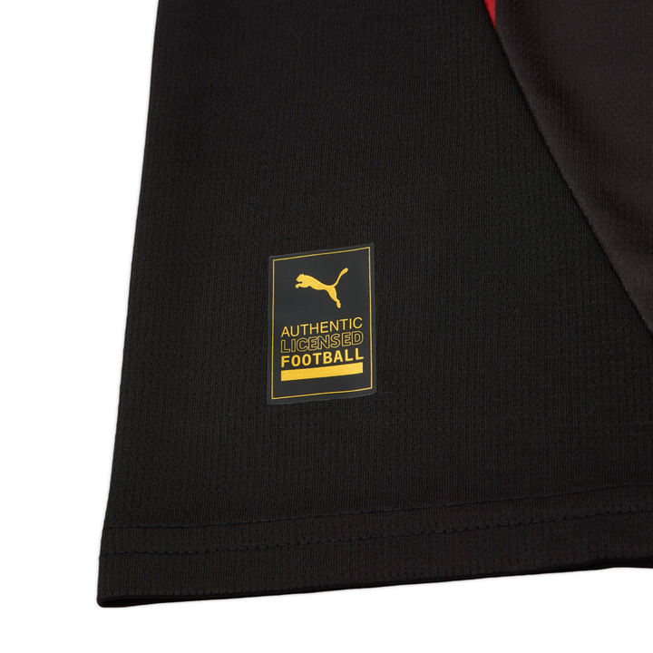 2024-25 Galatasaray SK 3a Equipación