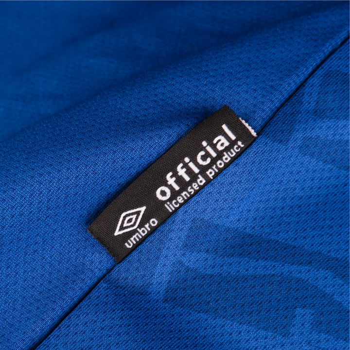 2025-26 Ipswich Town FC 1a Equipación