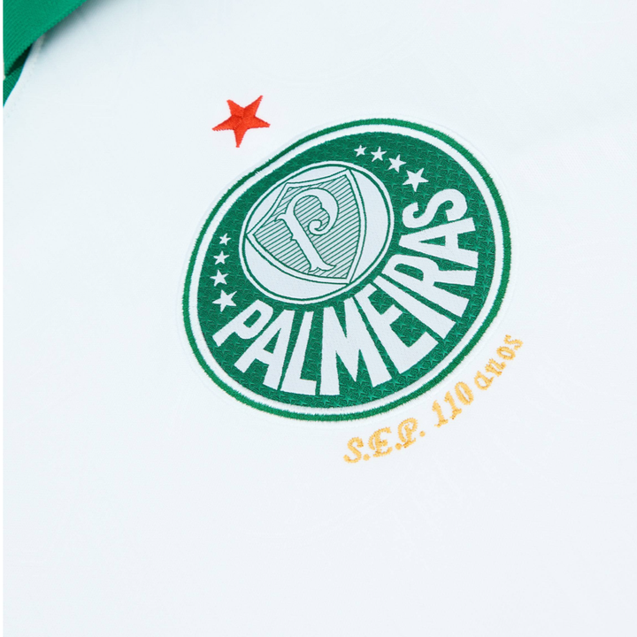 2024-25 SE Palmeiras 2a Equipación